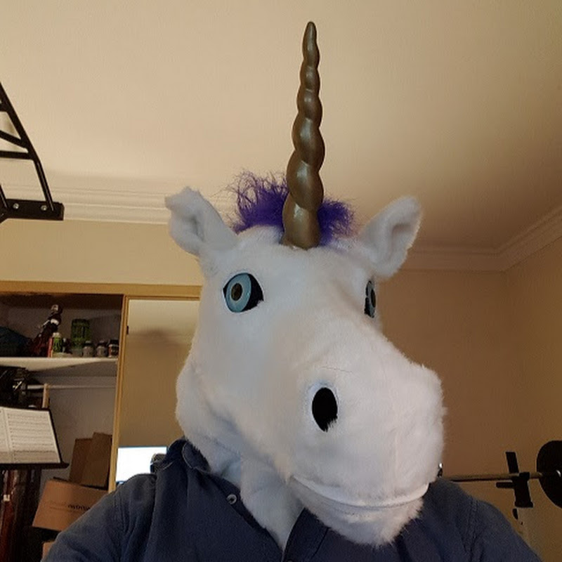 Warrior-Unicorn