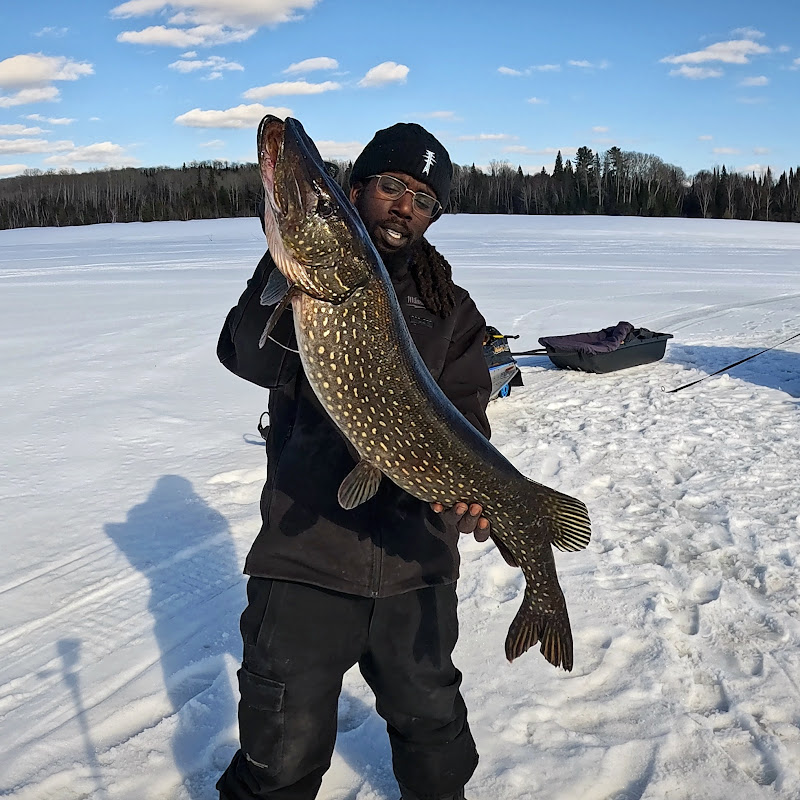 Jamaican Living Up North 