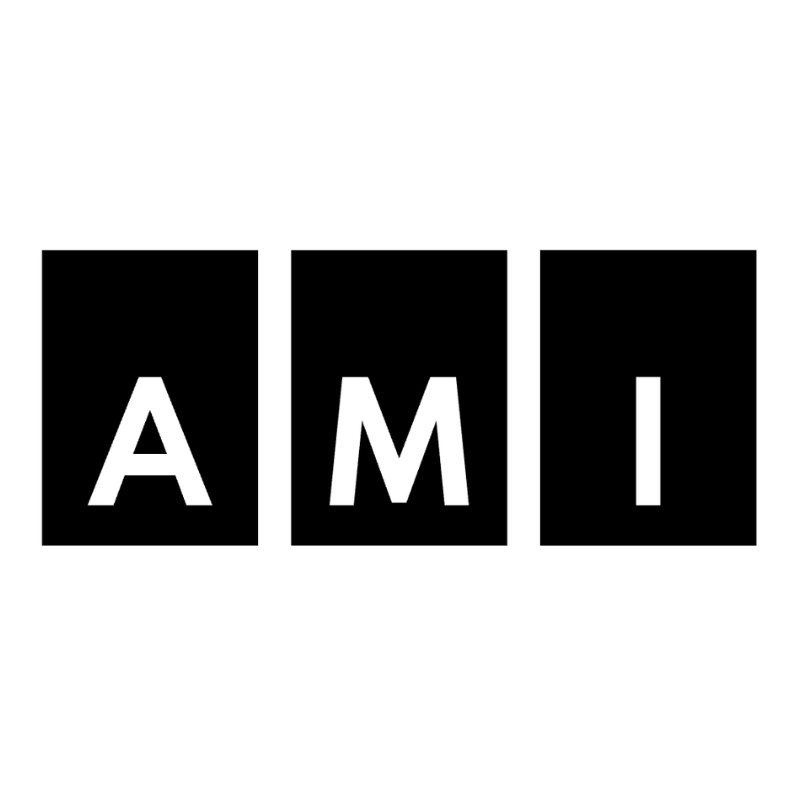 AMI: Accessible Media Inc.