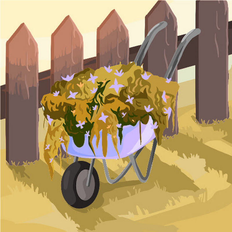 Plants World