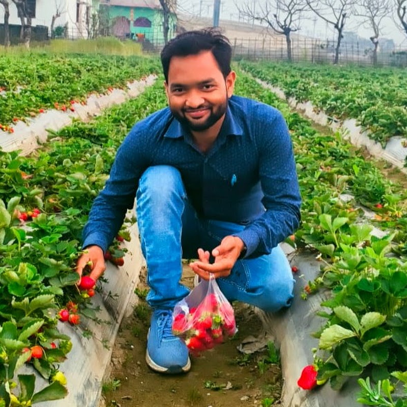 Dk Yadav 2.0