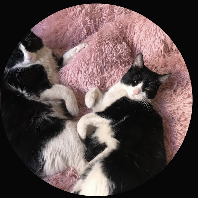 Mia y Tom OFICIAL