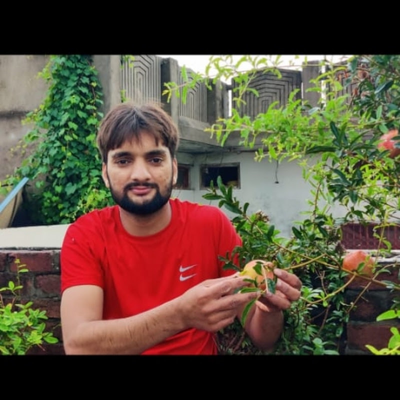 Ghar main zoo 123
