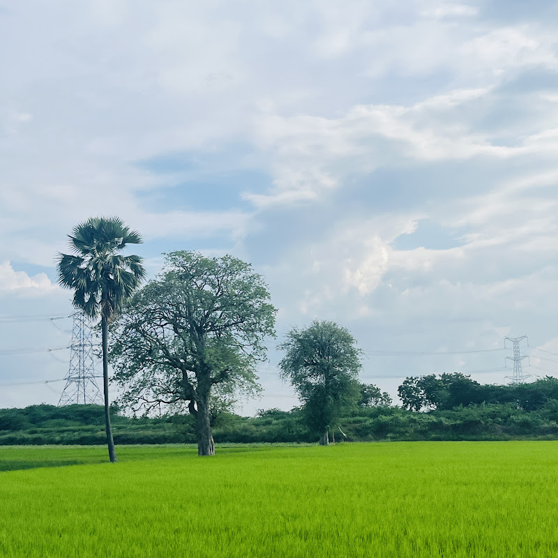Simple Life