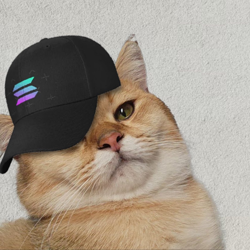 Thecatplanet24