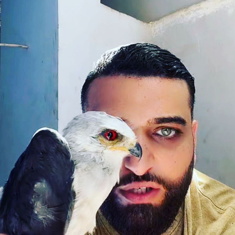 Ali Rescue Pets