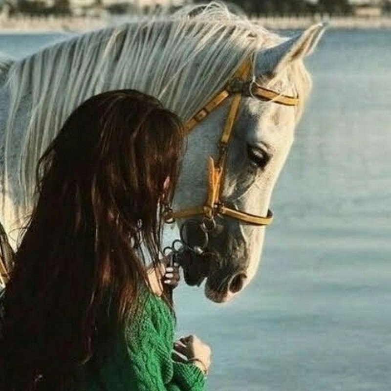 laila gamil