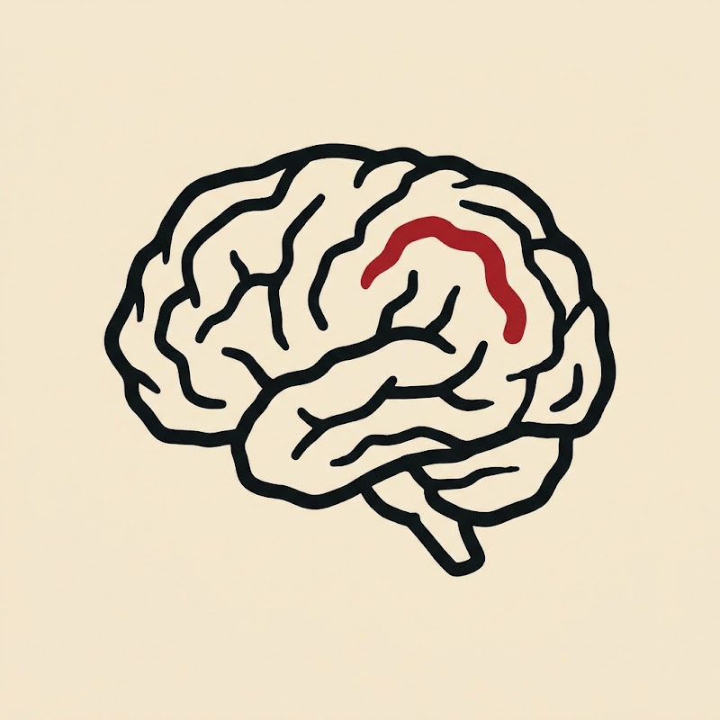 Modern Human Psychology