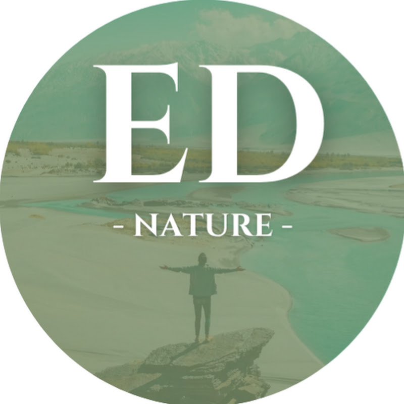 Easy Documentary Nature