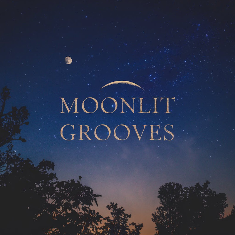 Moonlit Grooves