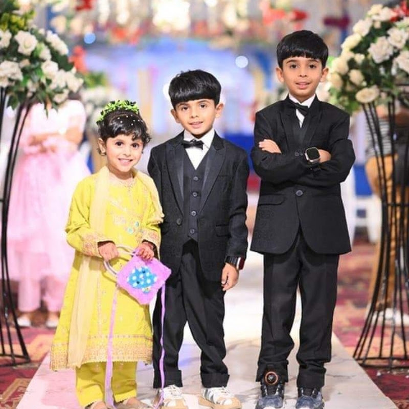 ALMEER, SHAHEER &EMAN VLOGS 