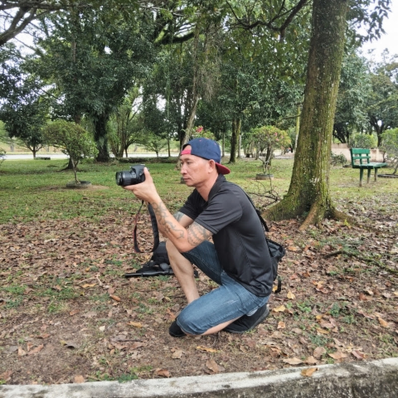 LIYUS VLOGS channel