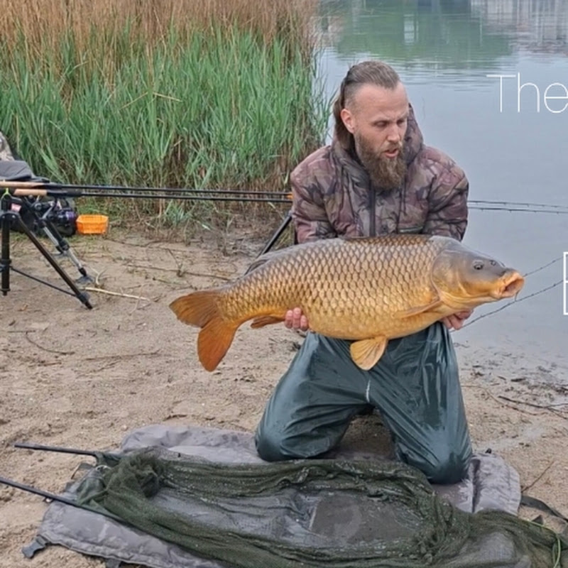 The Viking Fisher