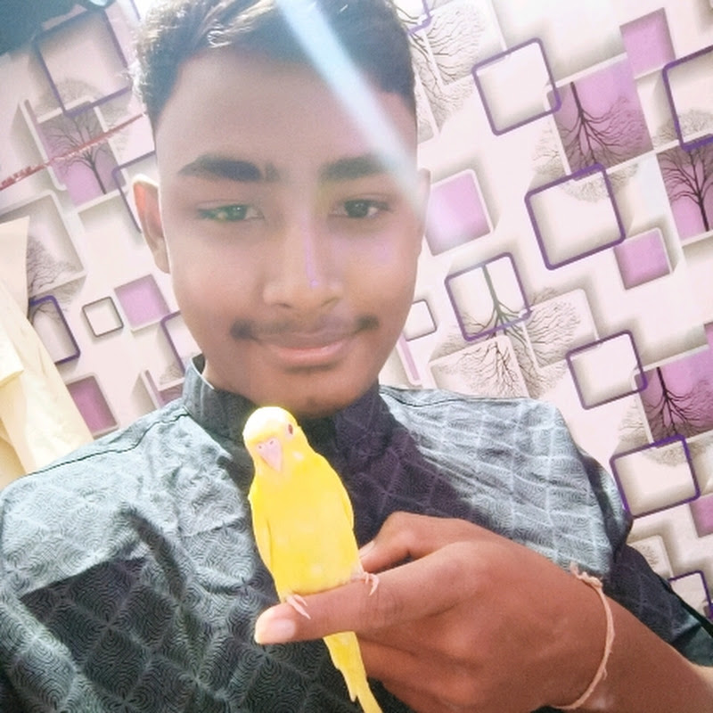 Armaan parrot lover fish vlog🐬🦜