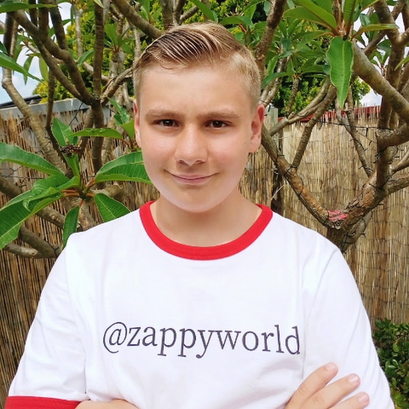 Zappy World