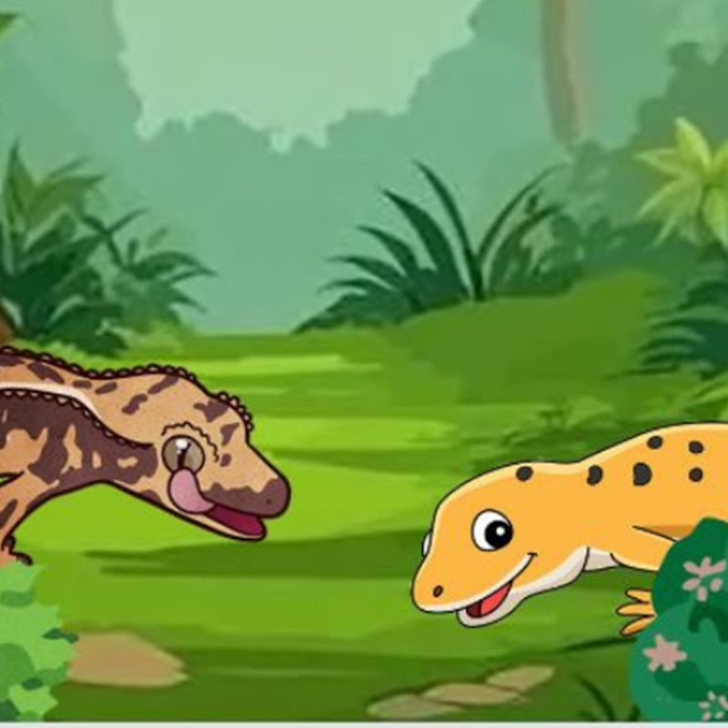 Learn with Pongo and Hera