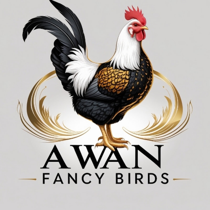 Awan Fancy Birds 