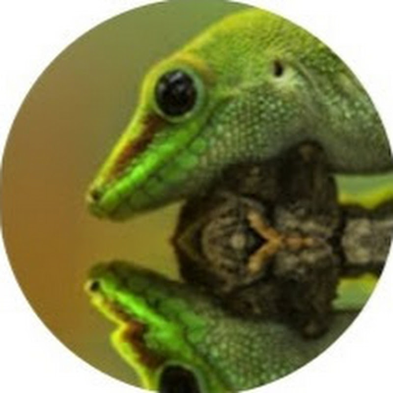 Snake Island Exotics