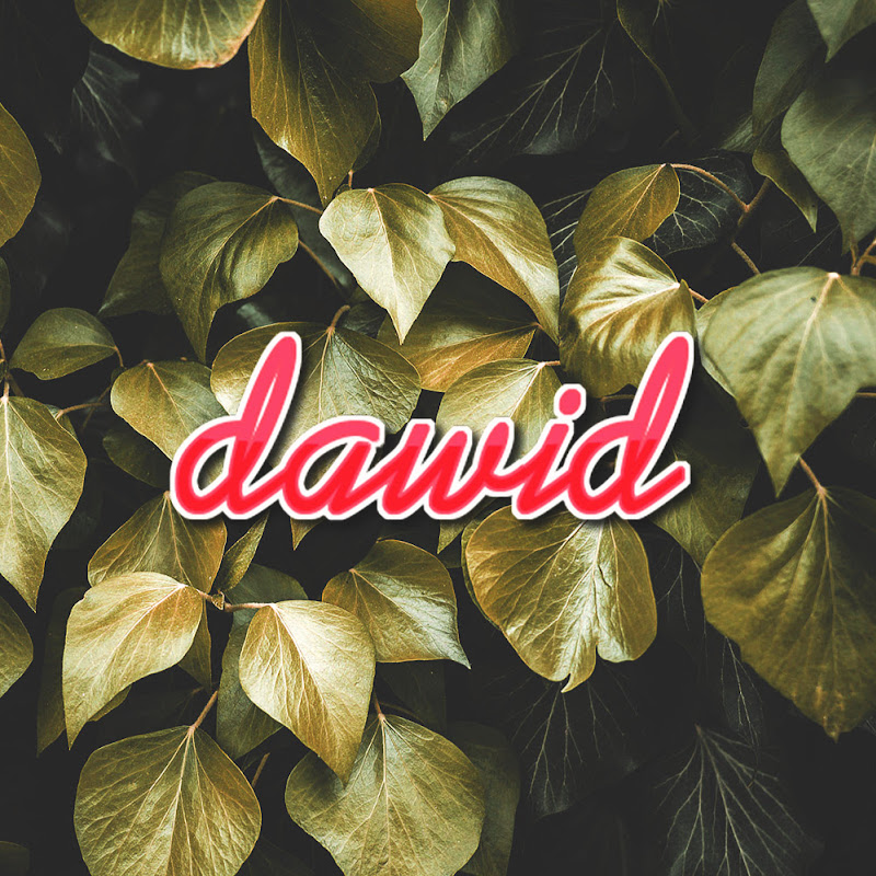 Dawidfilms²