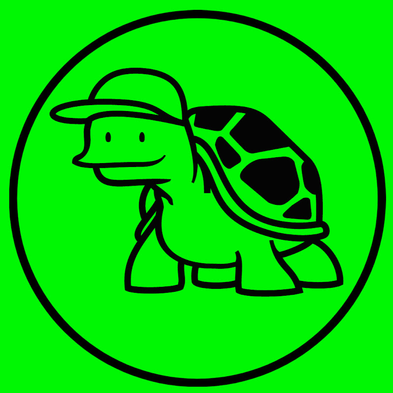 Turtle Code