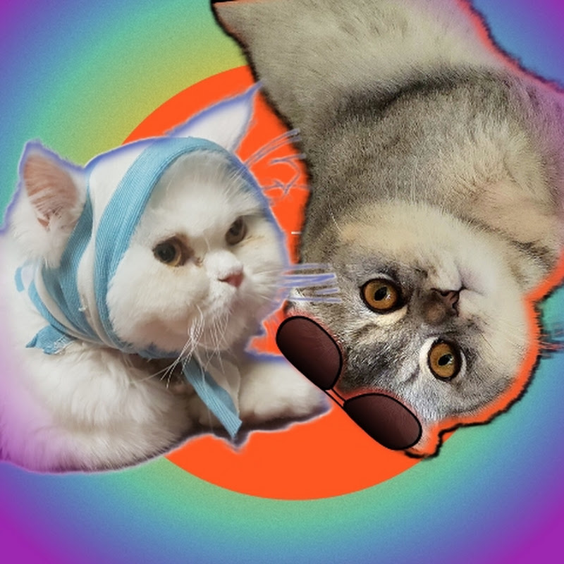 Barfin & Lusy