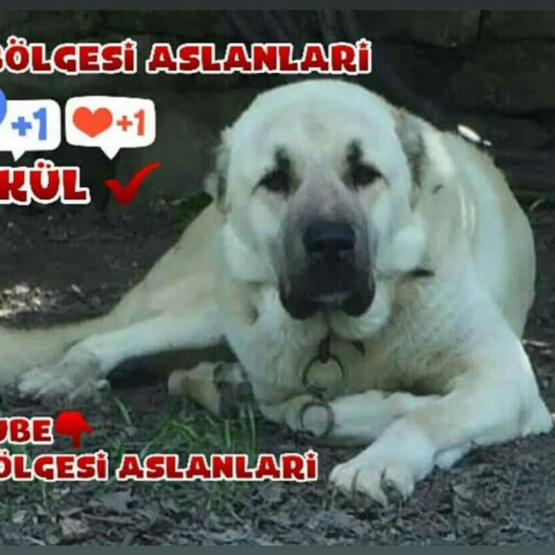 Kangal Ege
