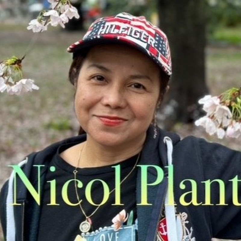 Nicol plantita
