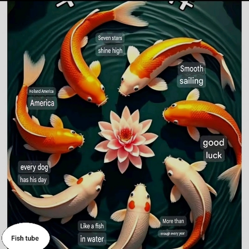 fish tube 