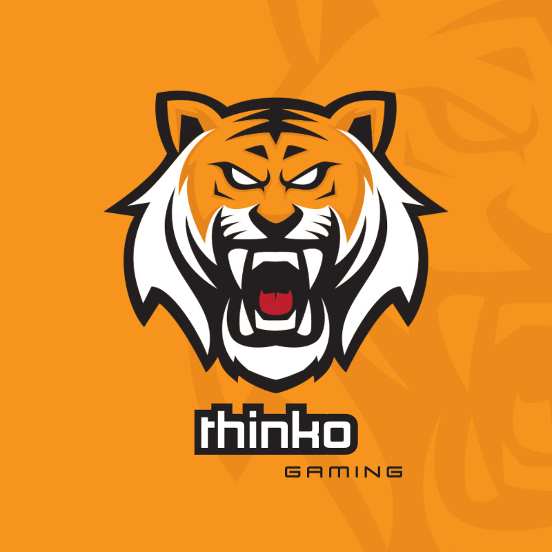 thinko17