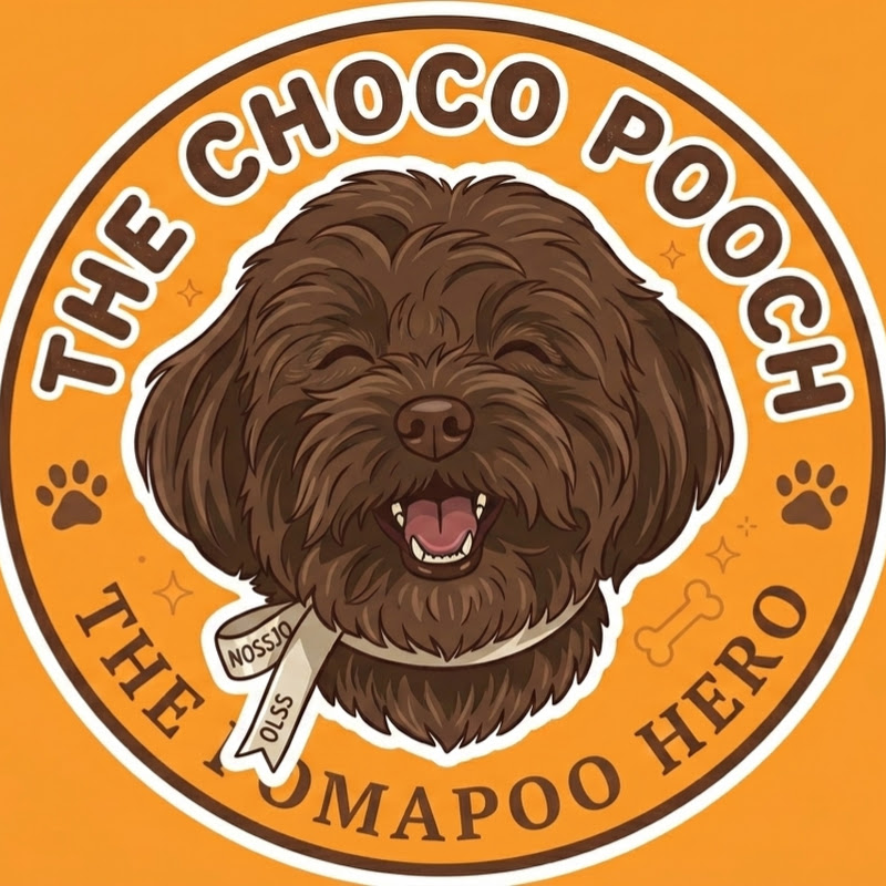  The Choco Pooch