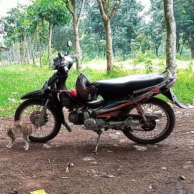 Si Jagur Ngebolang