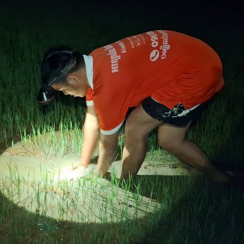 Mrr Srosspv fishing