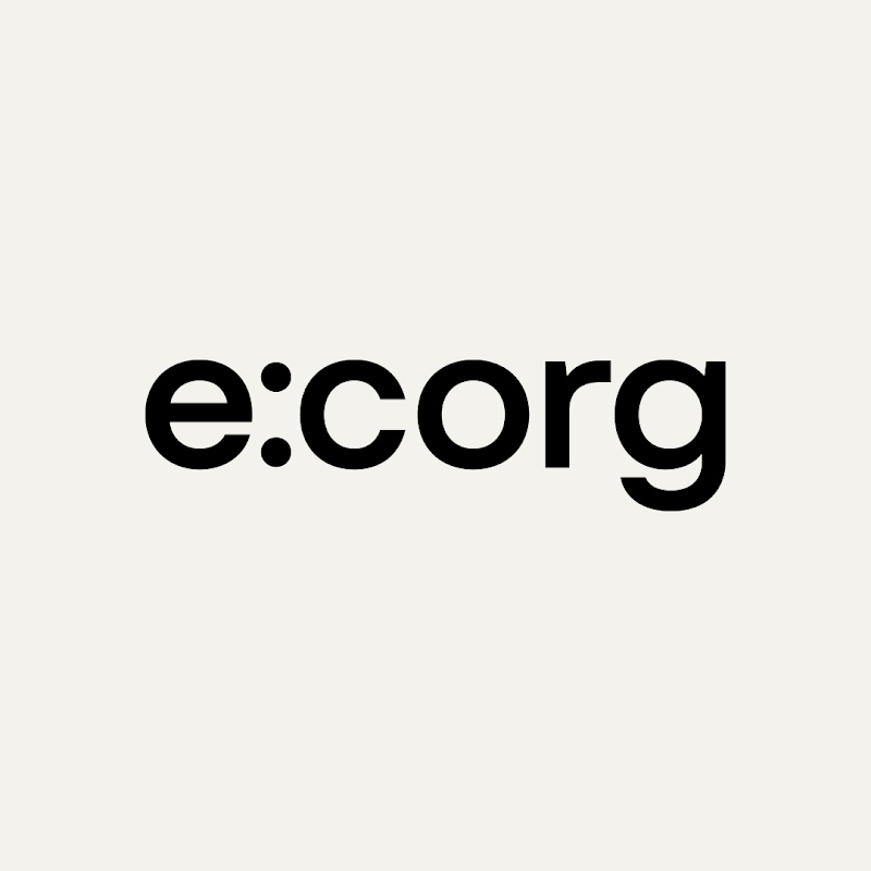 e:corg ERP system