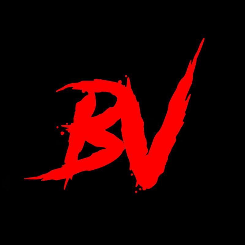 BROTHERS VLOG