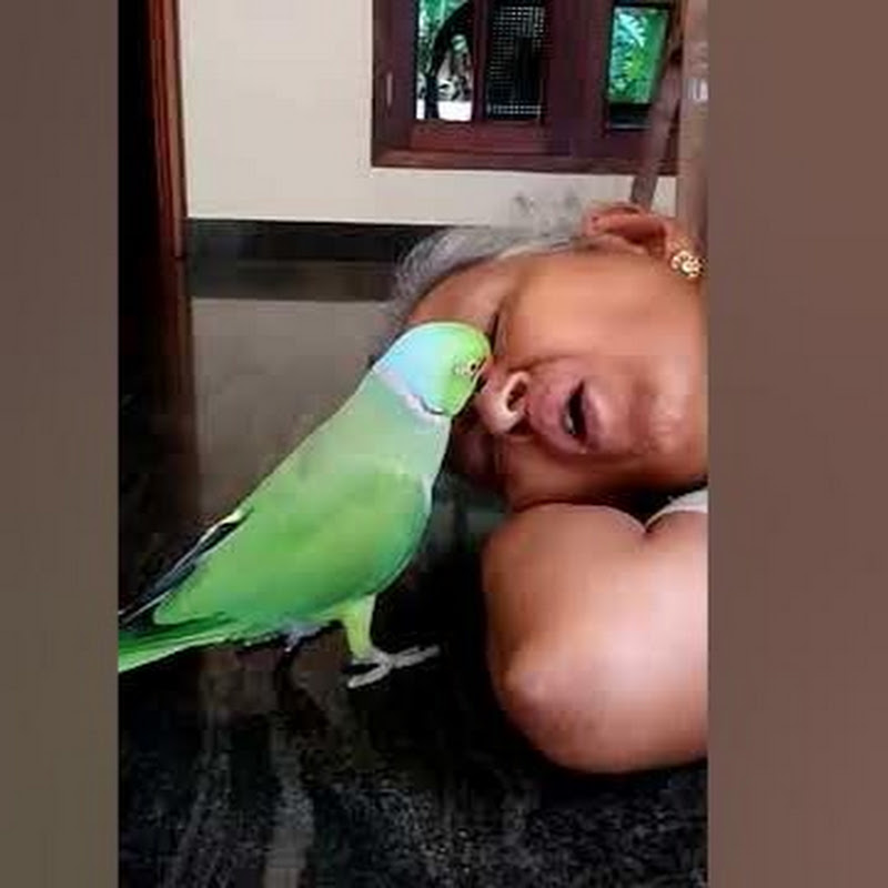 AkshanVlog