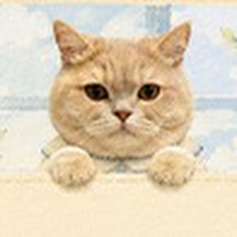 고냥보리
