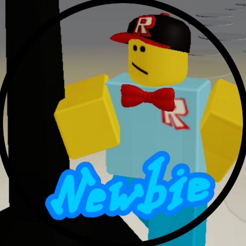 TheColorfulNewbie