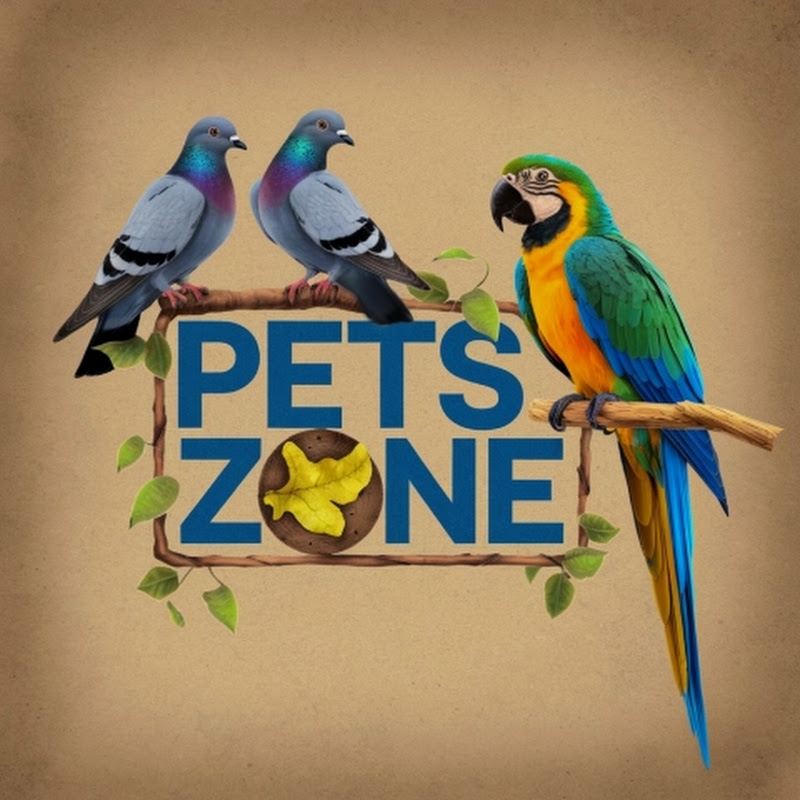 Pets Zone 