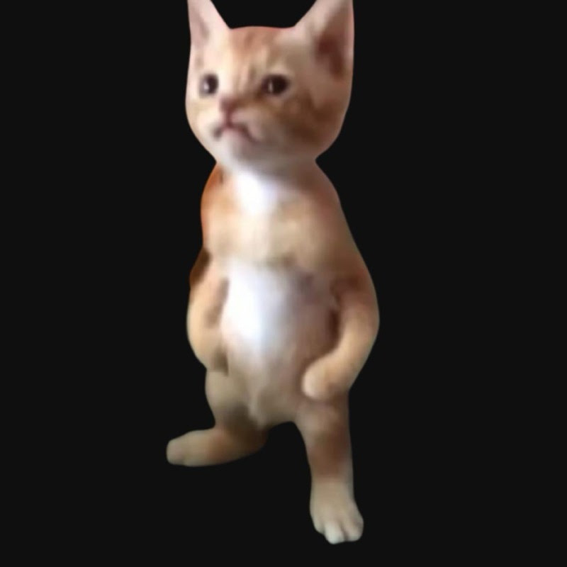 Meowmoto Musashi